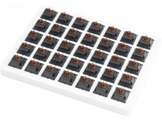 CHERRY MX Brown Switch Set and Holder 35
