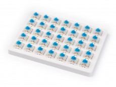 Gateron Blue Switch Set and Holder 35